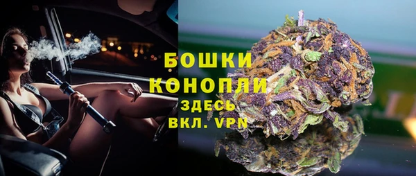 ПСИЛОЦИБИНОВЫЕ ГРИБЫ Абаза