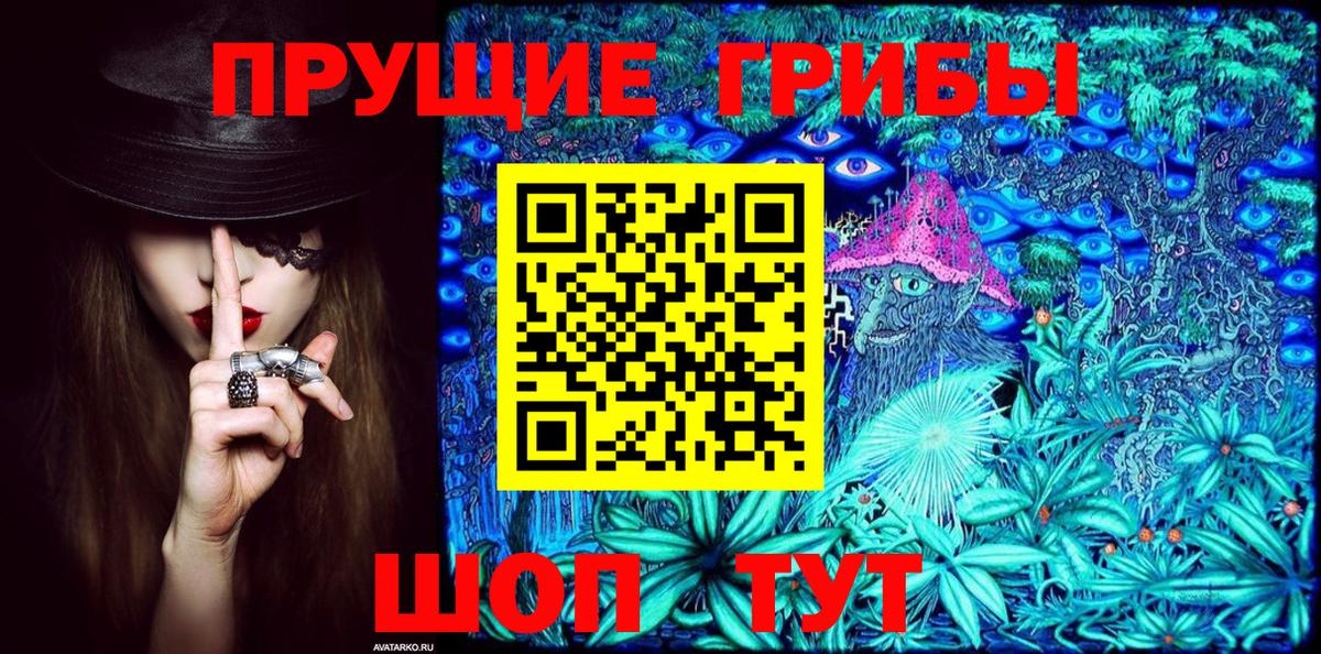 Азнакаево  Галлюциногенные грибы Psilocybine cubensis  Вход с VPN 