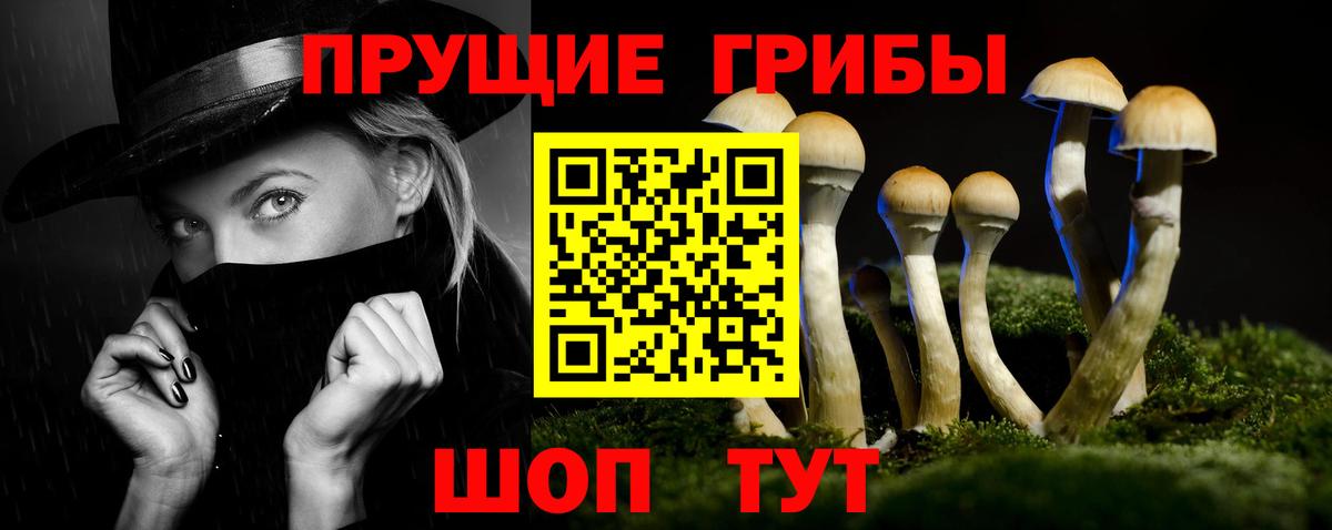 Псилоцибиновые грибы MAGIC MUSHROOMS Азнакаево